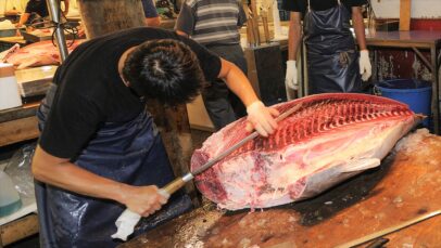 Cutting tuna at Tsukiji market